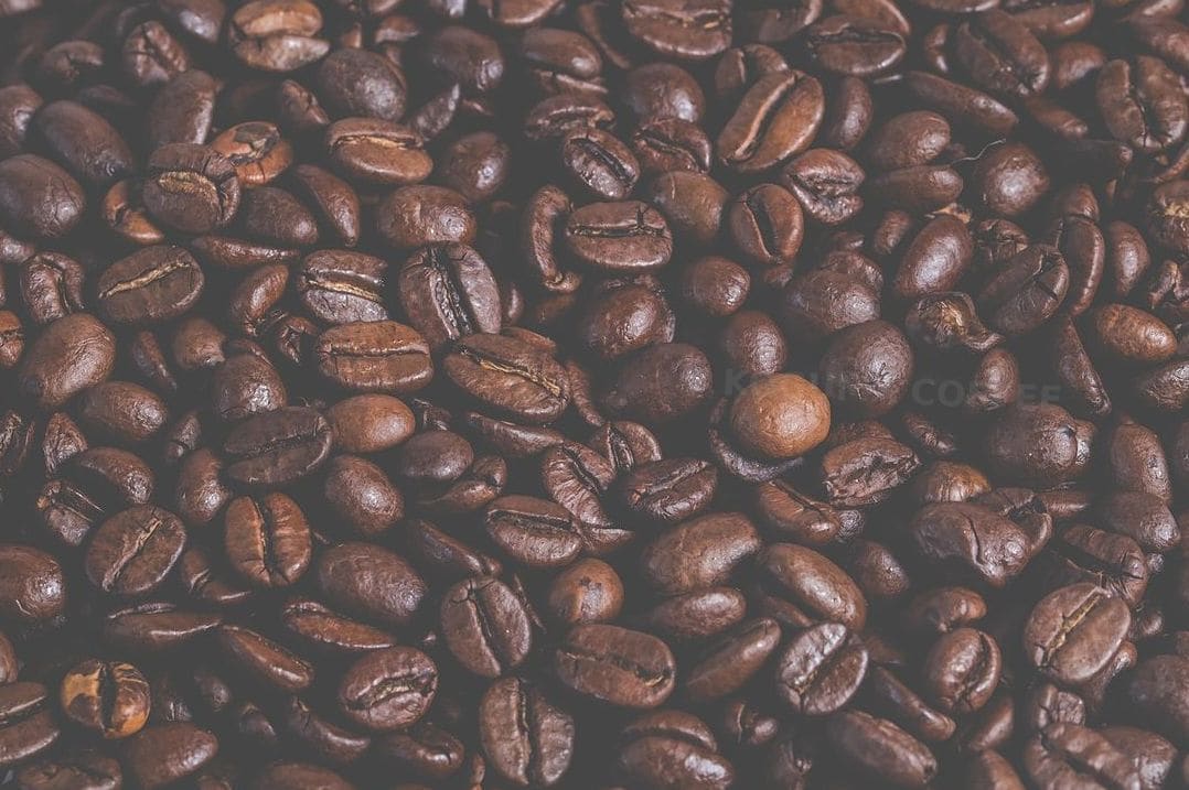 KOGUMA COFFEE 13